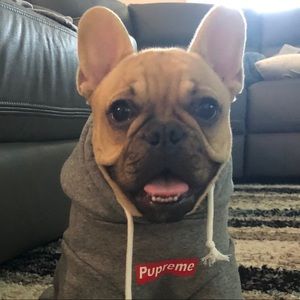 Meet your Posher, Brian